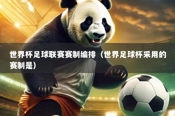 世界杯足球联赛赛制编排(世界足球杯采用的赛制是)