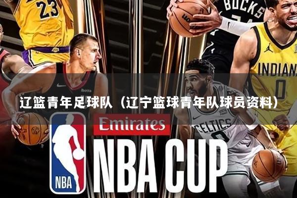 辽篮青年足球队（辽宁篮球青年队球员资料）