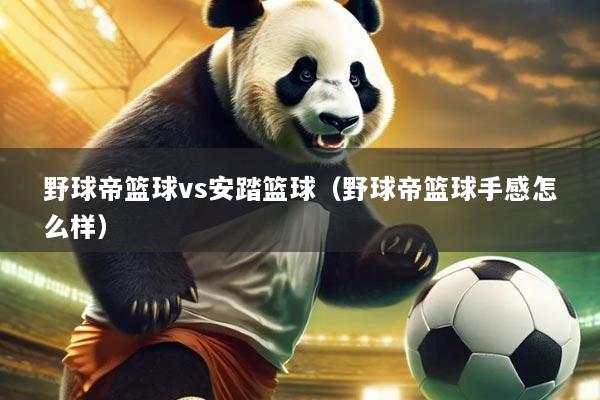 野球帝篮球vs安踏篮球(野球帝篮球手感怎么样)