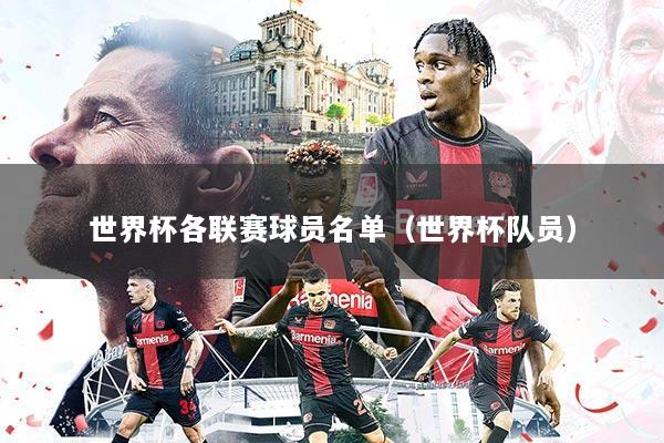 世界杯各联赛球员名单(世界杯队员)