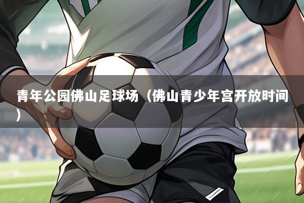 青年公园佛山足球场(佛山青少年宫开放时间)