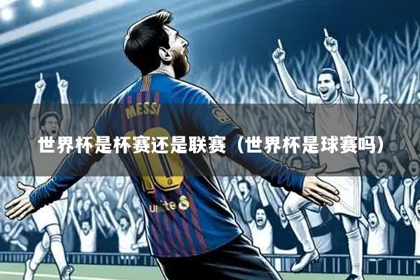 世界杯是杯赛还是联赛（世界杯是球赛吗）